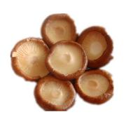 香菇(去根）