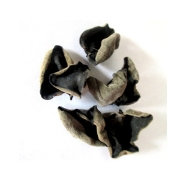 木耳（秋耳）/斤